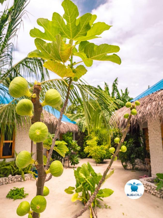 Blue World Dharavandhoo Exterior foto
